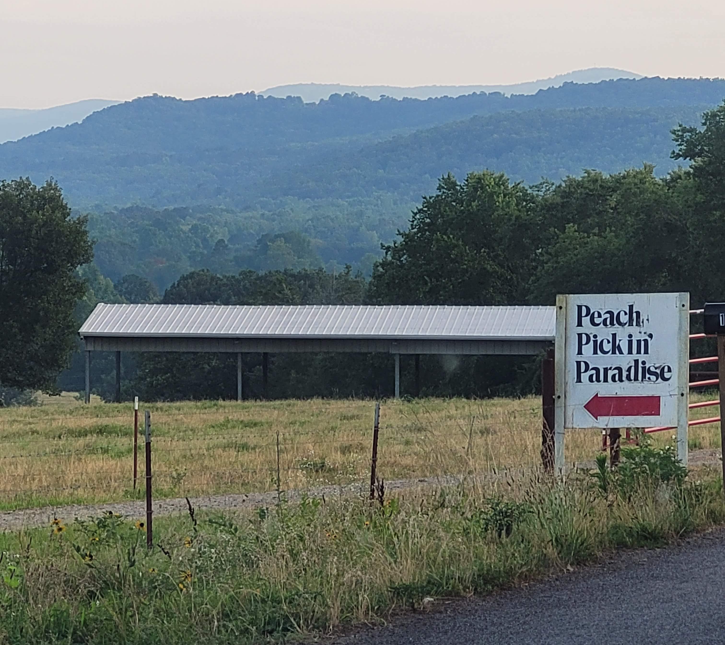 Peach Pickin Paradise sign near Clarksville, AR with mountain views
