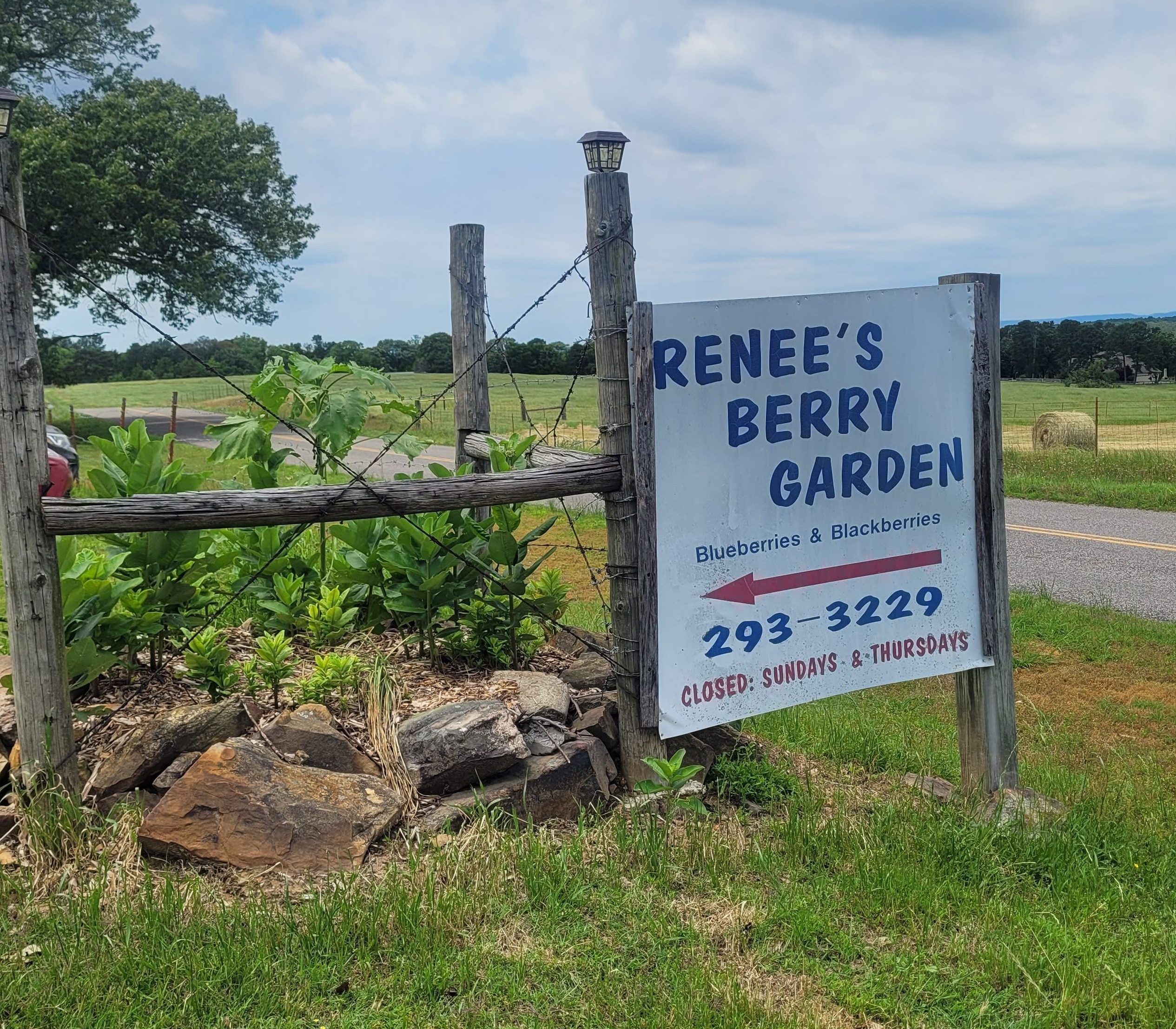 Renee's Berry Garden Sign
Renee's Berry Garden in London, Arkansas