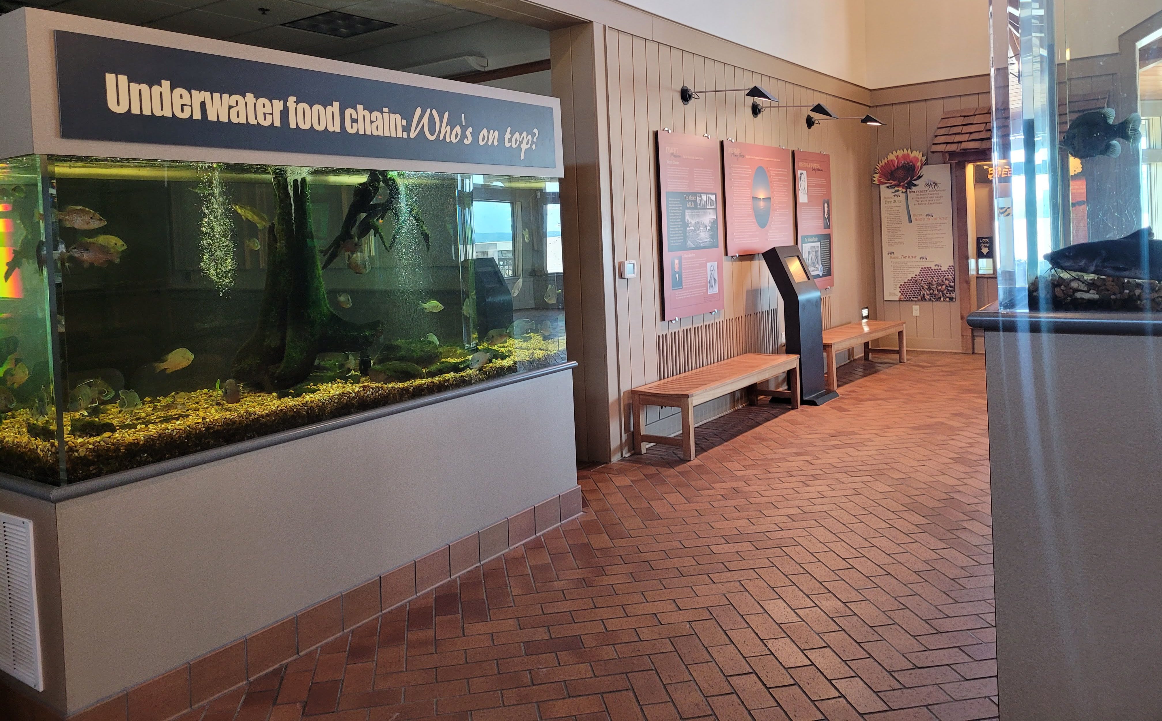 fish tanks in the visitor center at Lake Dardanelle State Park