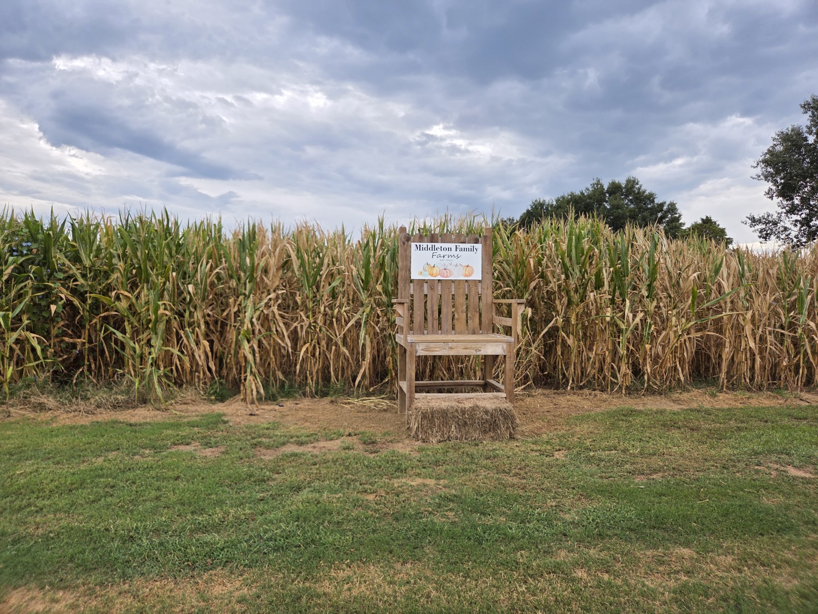 Our Favorite Pumpkin Patch Near Russellville, AR: Middleton Family Farm